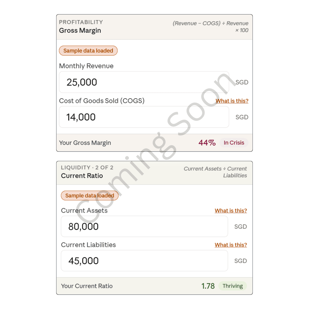 Screenshot of DMF Survival Intelligence Check - calculator for gross margin, cash runway, and blind spots in your numbers