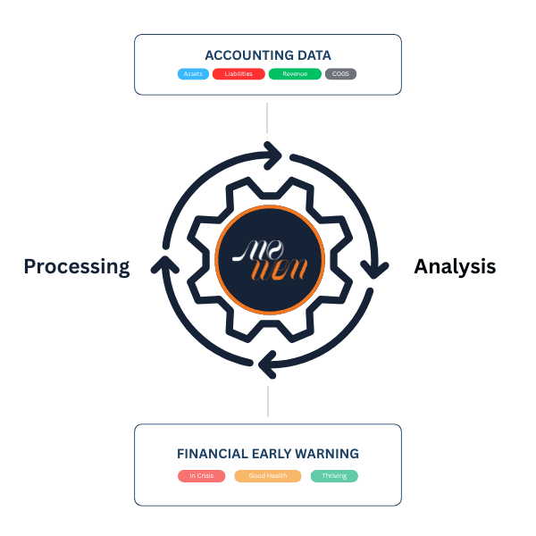 NoWen flow diagram - accounting data processed to deliver financial early warning signals: In Crisis, Good Health, Thriving